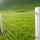 Vieh-Zaun-Heißer eingetauchter galvanisierter Feld-Zaun